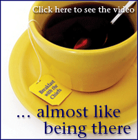 BWTC videos
